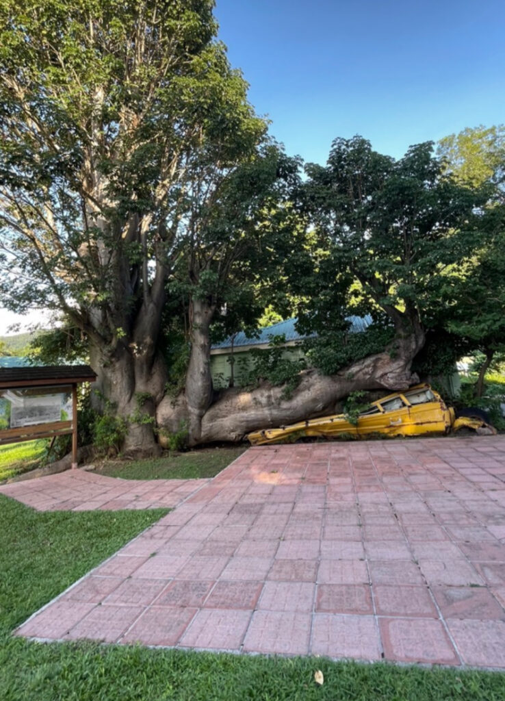 Dominica botanical garden -bus wreck