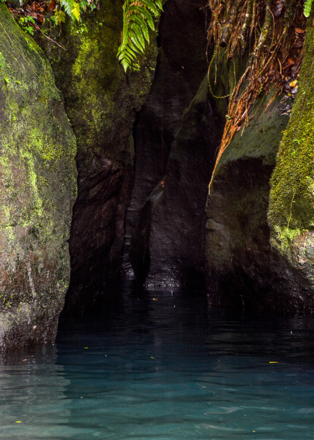 titou gorge swim spot near the boiling lake trail head