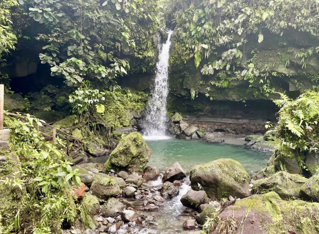 stunning waterfall of emerald pool in dominica