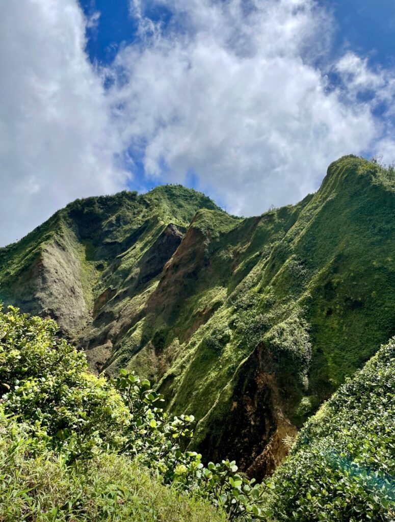 majestic mountains of dominica